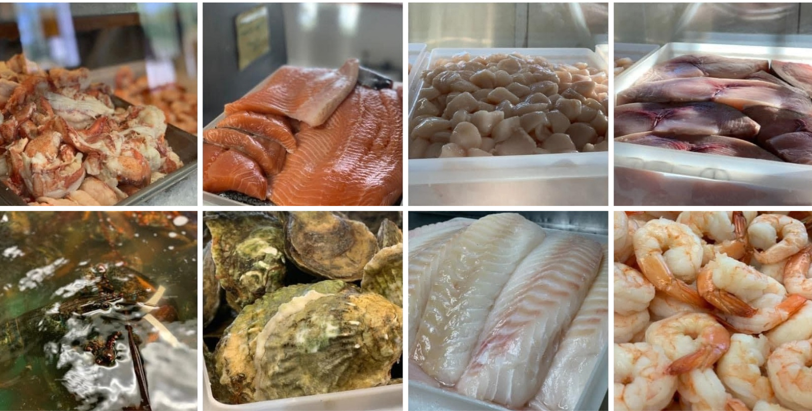 David's Fish Market